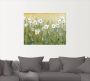 Artland Artprint Voorjaar met madeliefjes II als artprint van aluminium artprint voor buiten artprint op linnen poster muursticker - Thumbnail 3