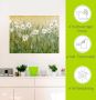 Artland Artprint Voorjaar met madeliefjes II als artprint van aluminium artprint voor buiten artprint op linnen poster muursticker - Thumbnail 4