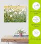 Artland Artprint Voorjaar met madeliefjes II als artprint van aluminium artprint voor buiten artprint op linnen poster muursticker - Thumbnail 6