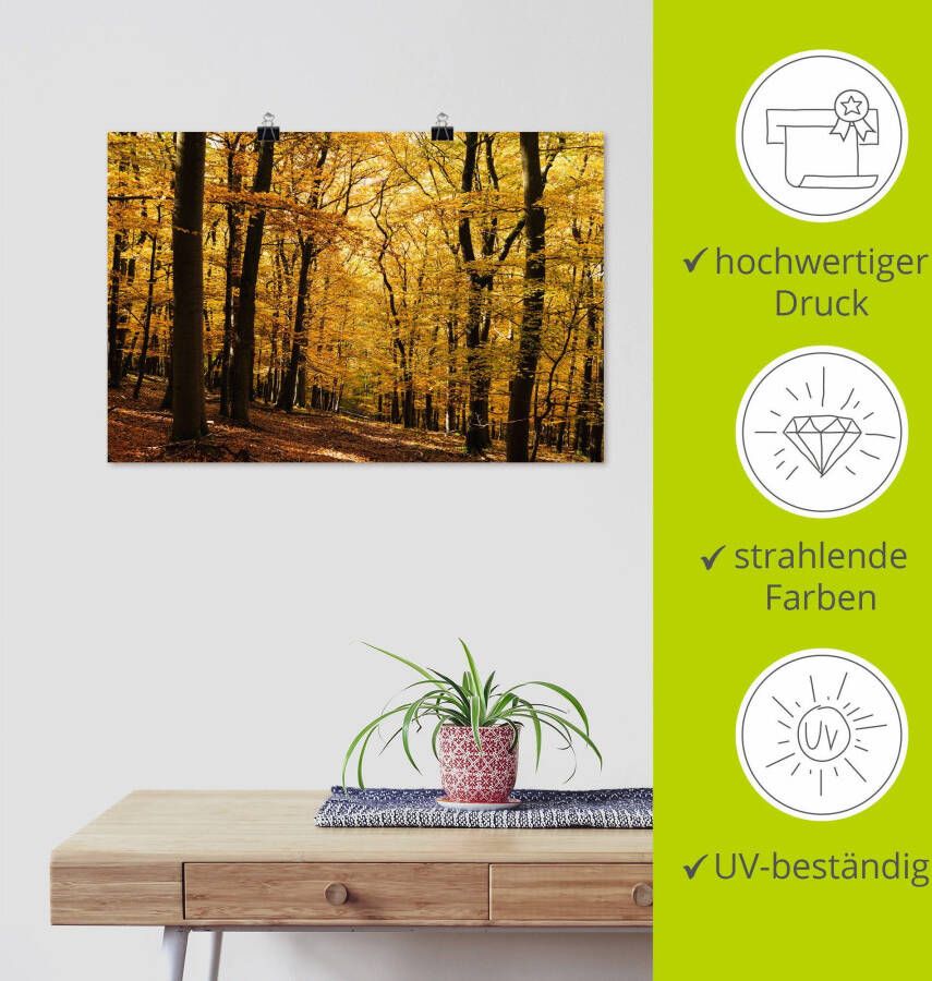 Artland Artprint Wandeling in herfstbos als artprint van aluminium artprint voor buiten artprint op linnen poster in verschillende maten. maten