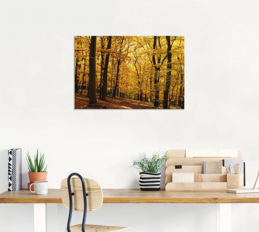 Artland Artprint Wandeling in herfstbos als artprint van aluminium artprint voor buiten artprint op linnen poster in verschillende maten. maten