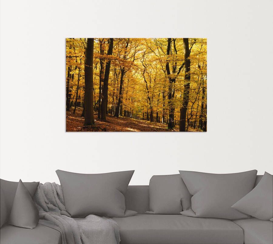 Artland Artprint Wandeling in herfstbos als artprint van aluminium artprint voor buiten artprint op linnen poster in verschillende maten. maten