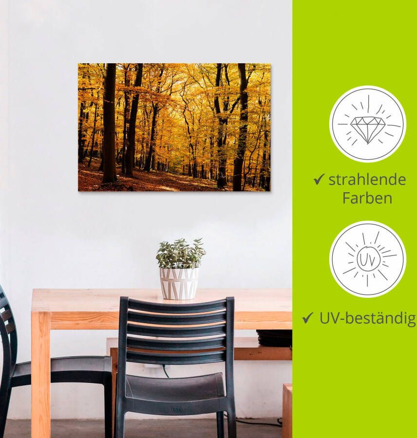 Artland Artprint Wandeling in herfstbos als artprint van aluminium artprint voor buiten artprint op linnen poster in verschillende maten. maten