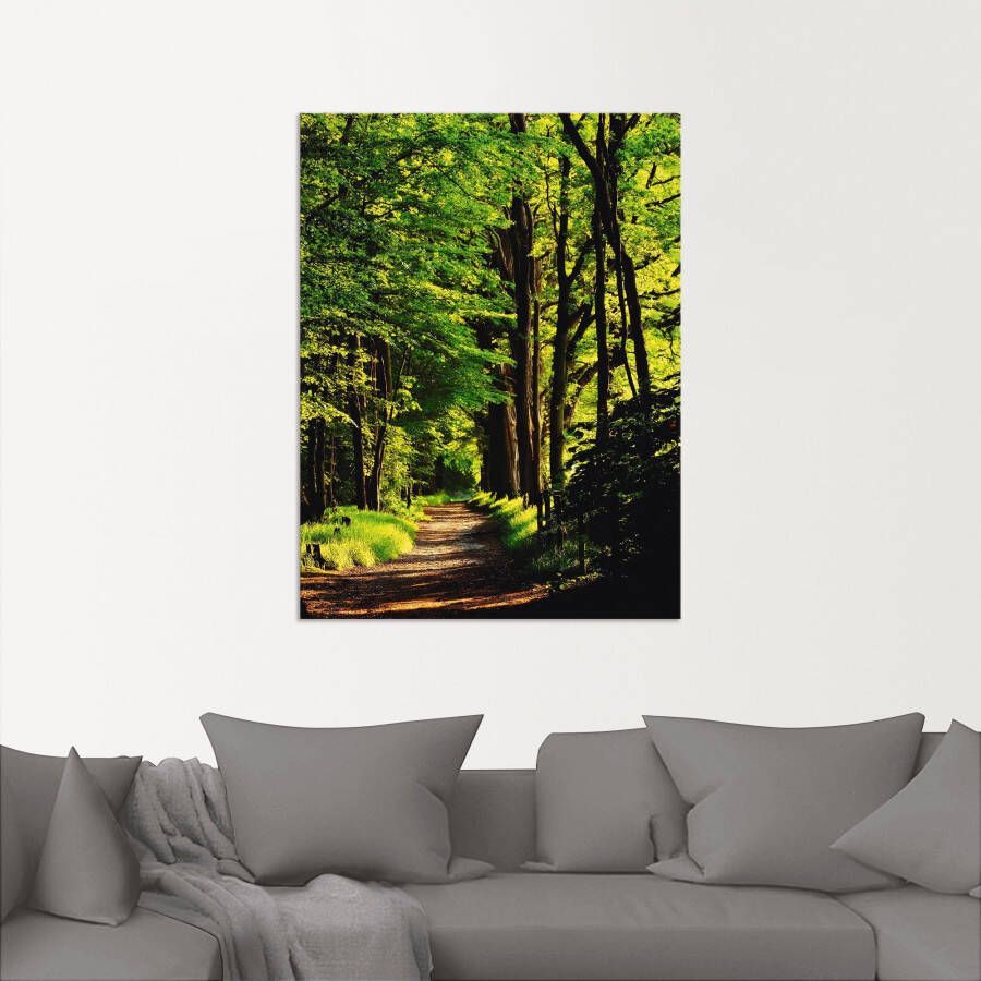 Artland Artprint Weg in het bos als artprint van aluminium artprint voor buiten artprint op linnen poster in verschillende maten. maten