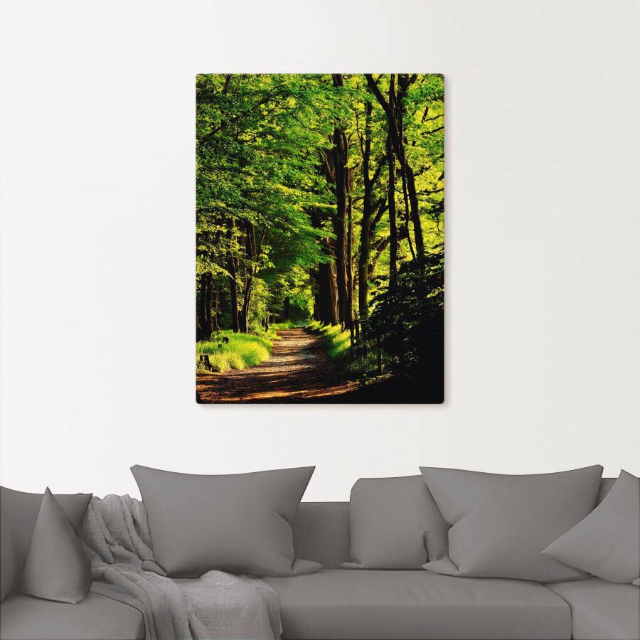 Artland Artprint Weg in het bos als artprint van aluminium artprint voor buiten artprint op linnen poster in verschillende maten. maten