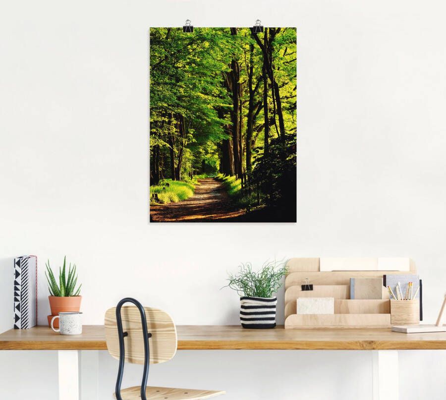 Artland Artprint Weg in het bos als artprint van aluminium artprint voor buiten artprint op linnen poster in verschillende maten. maten