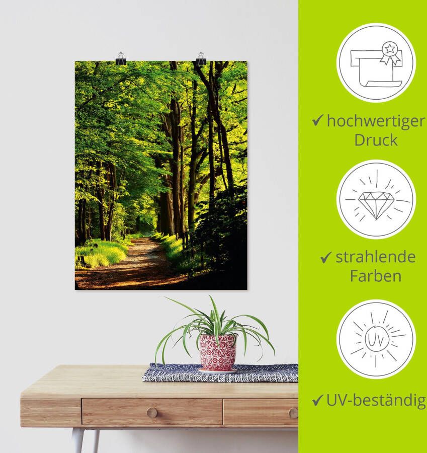 Artland Artprint Weg in het bos als artprint van aluminium artprint voor buiten artprint op linnen poster in verschillende maten. maten