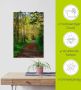 Artland Artprint Weg in het herfstbos als poster muursticker in verschillende maten - Thumbnail 6