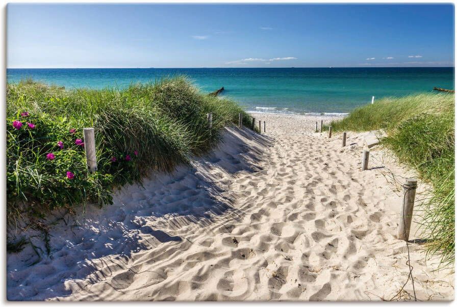 Artland Artprint Weg naar het strand aan de Oostzee als artprint van aluminium artprint voor buiten artprint op linnen poster muursticker