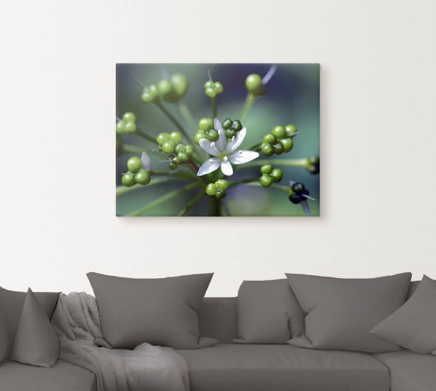 Artland Artprint Wildeknoflookbloemen als artprint op linnen poster in verschillende formaten maten