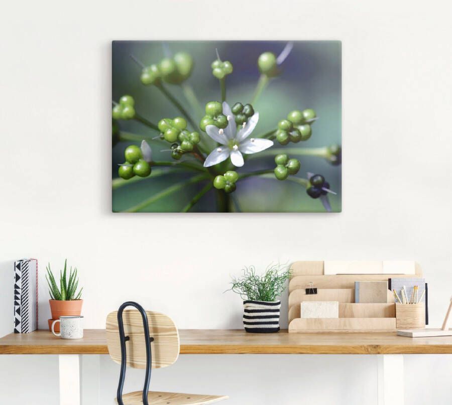 Artland Artprint Wildeknoflookbloemen als artprint op linnen poster in verschillende formaten maten