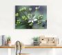 Artland Artprint Wildeknoflookbloemen als artprint op linnen poster in verschillende formaten maten - Thumbnail 3