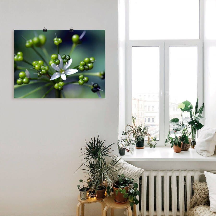 Artland Artprint Wildeknoflookbloemen als artprint op linnen poster in verschillende formaten maten