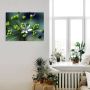 Artland Artprint Wildeknoflookbloemen als artprint op linnen poster in verschillende formaten maten - Thumbnail 2