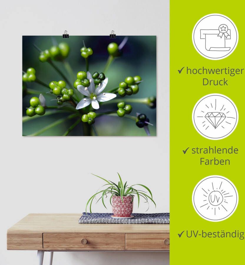 Artland Artprint Wildeknoflookbloemen als artprint op linnen poster in verschillende formaten maten