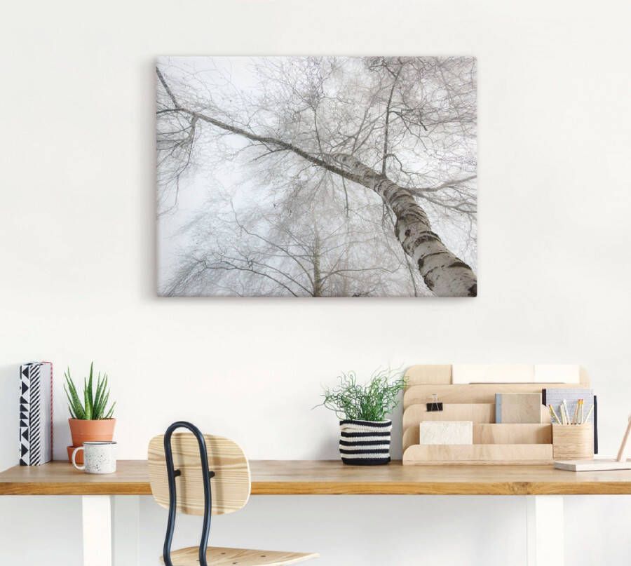 Artland Artprint Winter berk als artprint op linnen muursticker in verschillende maten