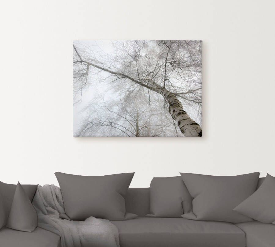 Artland Artprint Winter berk als artprint op linnen muursticker in verschillende maten