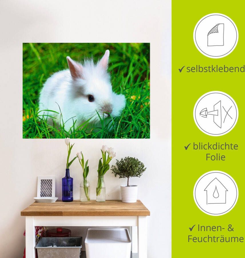 Artland Artprint Wit dwergkonijn baby als poster muursticker in verschillende maten