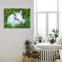 Artland Artprint Wit dwergkonijn baby als poster muursticker in verschillende maten - Thumbnail 2