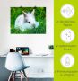 Artland Artprint Wit dwergkonijn baby als poster muursticker in verschillende maten - Thumbnail 5