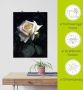 Artland Artprint Wit-gele roos als artprint op linnen poster in verschillende formaten maten - Thumbnail 5