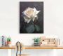 Artland Artprint Wit-gele roos als artprint op linnen poster in verschillende formaten maten - Thumbnail 3