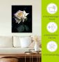 Artland Artprint Wit-gele roos als artprint op linnen poster in verschillende formaten maten - Thumbnail 4