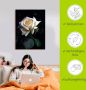 Artland Artprint Wit-gele roos als artprint op linnen poster in verschillende formaten maten - Thumbnail 5