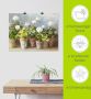 Artland Artprint Witte geraniums als artprint op linnen poster in verschillende formaten maten - Thumbnail 6