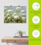 Artland Artprint Witte hortensia's tuin als artprint op linnen poster muursticker in verschillende maten - Thumbnail 6