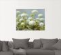 Artland Artprint Witte hortensia's tuin als artprint op linnen poster muursticker in verschillende maten - Thumbnail 2