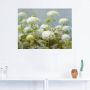 Artland Artprint Witte hortensia's tuin als artprint op linnen poster muursticker in verschillende maten - Thumbnail 3