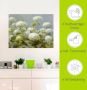 Artland Artprint Witte hortensia's tuin als artprint op linnen poster muursticker in verschillende maten - Thumbnail 4