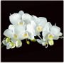 Artland Artprint Witte orchidee op een zwarte achtergrond als artprint op linnen poster muursticker in verschillende maten - Thumbnail 2