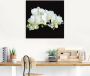 Artland Artprint Witte orchidee op een zwarte achtergrond als artprint op linnen poster muursticker in verschillende maten - Thumbnail 3