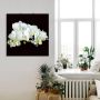 Artland Artprint Witte orchidee op een zwarte achtergrond als artprint op linnen poster muursticker in verschillende maten - Thumbnail 3