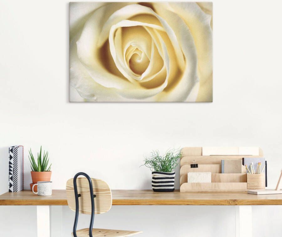 Artland Artprint Witte roos als artprint van aluminium artprint voor buiten artprint op linnen in verschillende maten