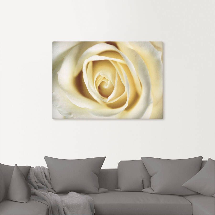 Artland Artprint Witte roos als artprint van aluminium artprint voor buiten artprint op linnen in verschillende maten