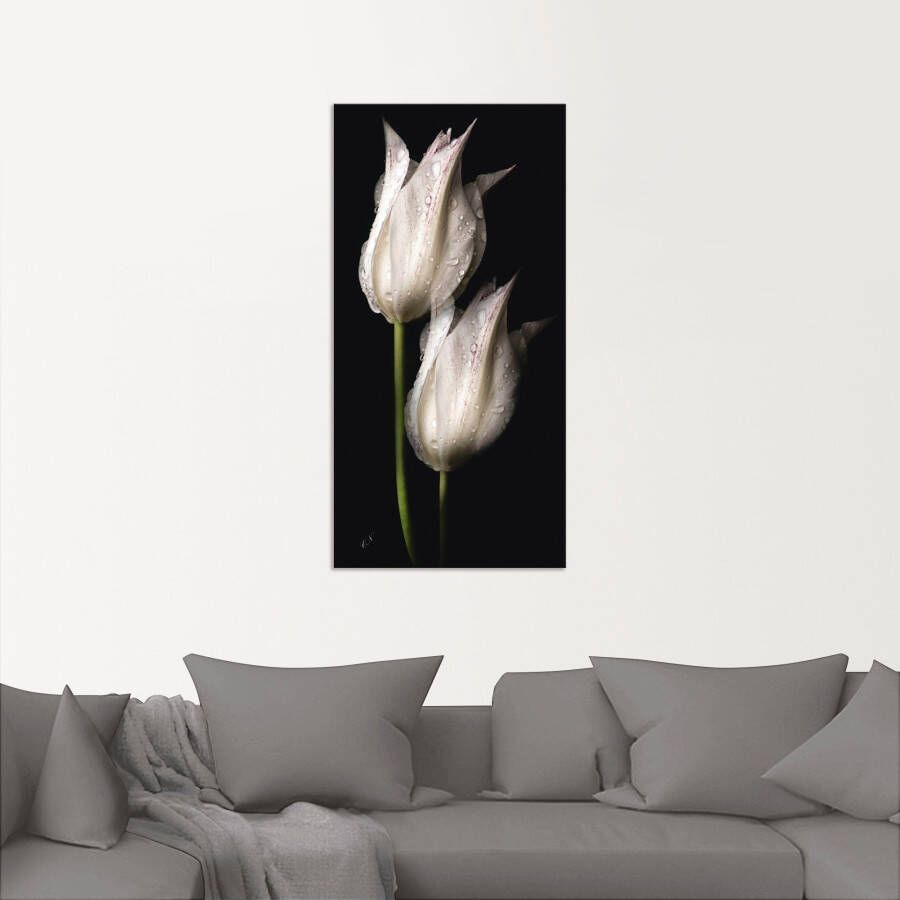 Artland Artprint Witte tulpen in de nacht als artprint van aluminium artprint voor buiten artprint op linnen poster muursticker