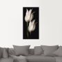 Artland Artprint Witte tulpen in de nacht als artprint van aluminium artprint voor buiten artprint op linnen poster muursticker - Thumbnail 2