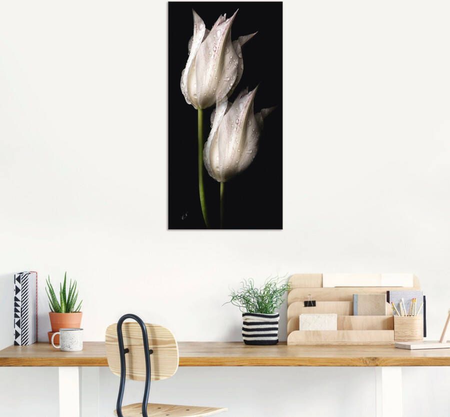 Artland Artprint Witte tulpen in de nacht als artprint van aluminium artprint voor buiten artprint op linnen poster muursticker