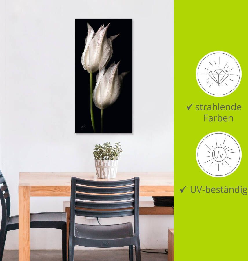 Artland Artprint Witte tulpen in de nacht als artprint van aluminium artprint voor buiten artprint op linnen poster muursticker