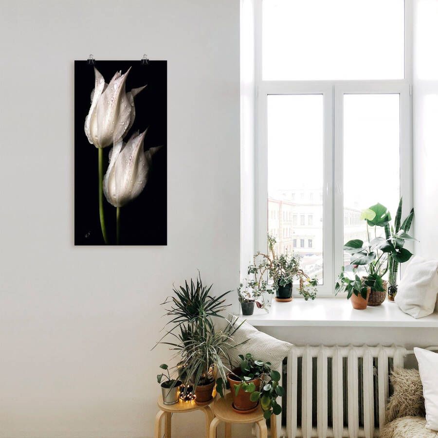 Artland Artprint Witte tulpen in de nacht als artprint van aluminium artprint voor buiten artprint op linnen poster muursticker