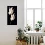 Artland Artprint Witte tulpen in de nacht als artprint van aluminium artprint voor buiten artprint op linnen poster muursticker - Thumbnail 2