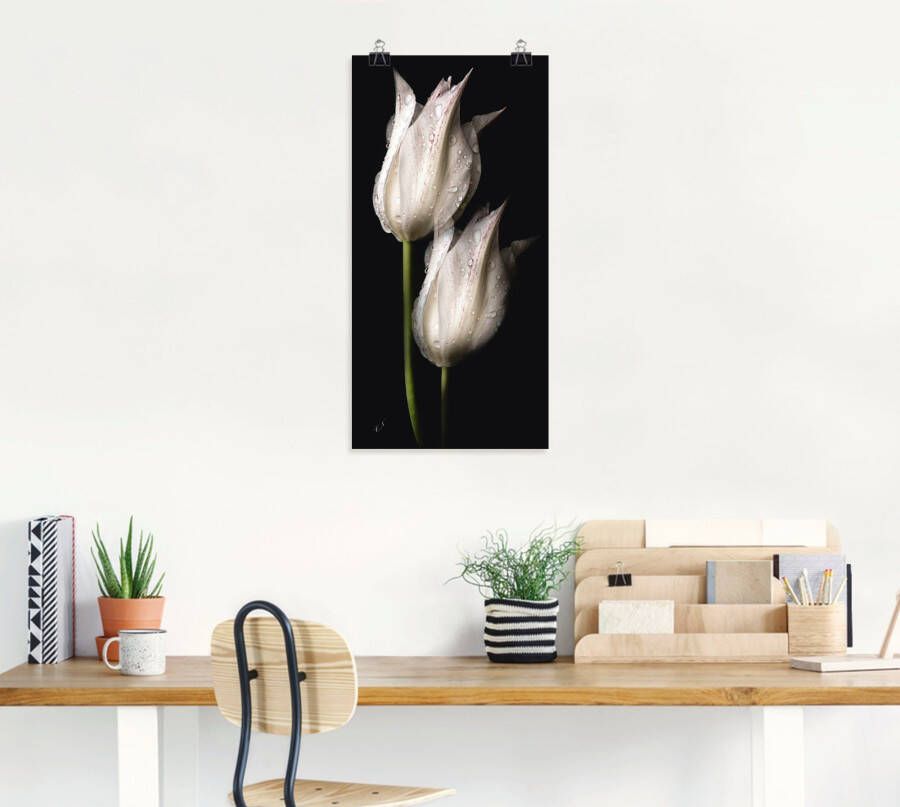 Artland Artprint Witte tulpen in de nacht als artprint van aluminium artprint voor buiten artprint op linnen poster muursticker