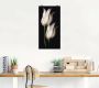 Artland Artprint Witte tulpen in de nacht als artprint van aluminium artprint voor buiten artprint op linnen poster muursticker - Thumbnail 4