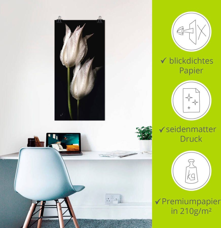 Artland Artprint Witte tulpen in de nacht als artprint van aluminium artprint voor buiten artprint op linnen poster muursticker