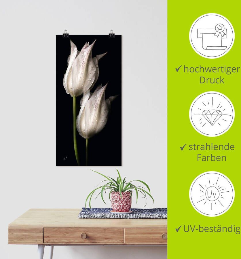 Artland Artprint Witte tulpen in de nacht als artprint van aluminium artprint voor buiten artprint op linnen poster muursticker