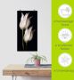 Artland Artprint Witte tulpen in de nacht als artprint van aluminium artprint voor buiten artprint op linnen poster muursticker - Thumbnail 6