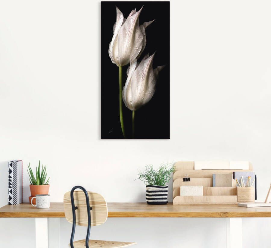 Artland Artprint Witte tulpen in de nacht als artprint van aluminium artprint voor buiten artprint op linnen poster muursticker